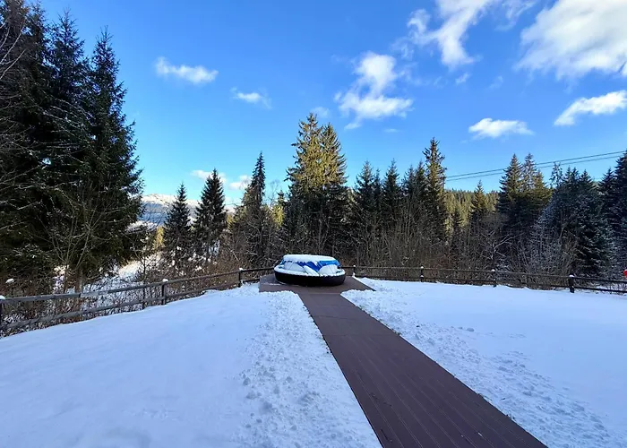 Alpine Lounge
