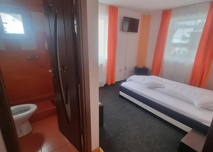 Pensiune Restaurant Sfinx Buşteni, România