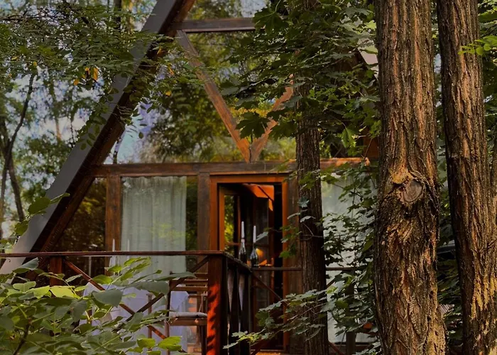 Porumbacu Treehouse