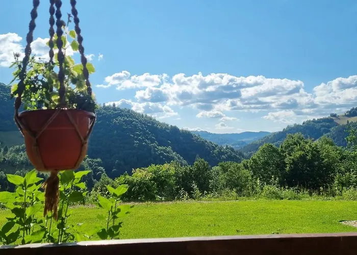 Casa Cu Muscate