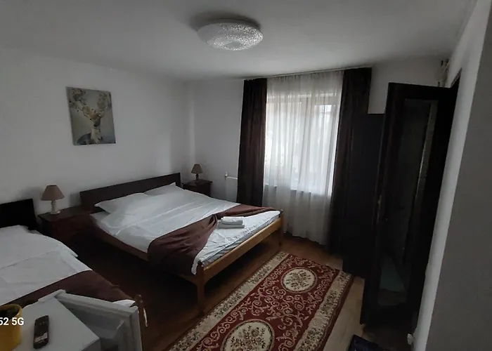 Casa Ryana Sinaia