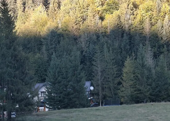 Voroneț, CASA IOANA, Bucovina!