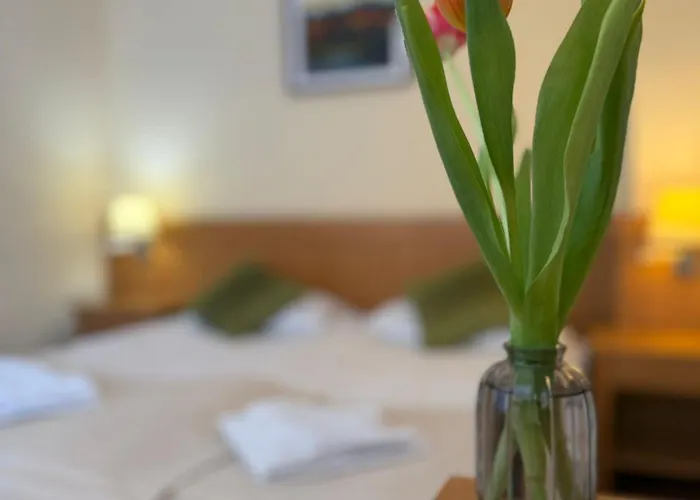 Hotel - Restaurant Gonduzo