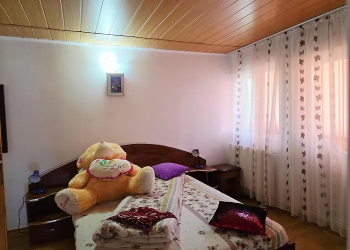 Pensiunea Gaby Dâmbovicioara, România