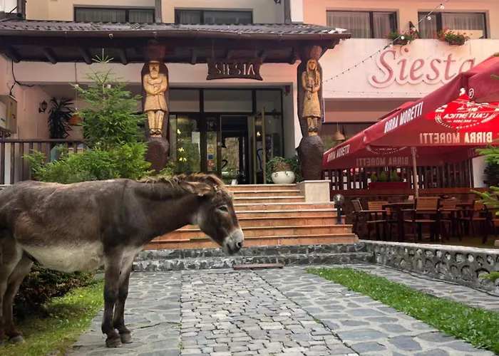 Hotel Siesta Balea