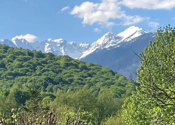 Pensiunea Arpasel