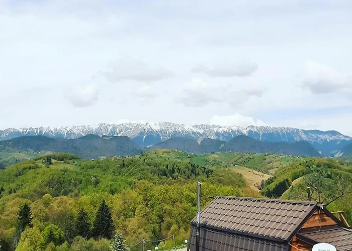 Cabanuta din munti