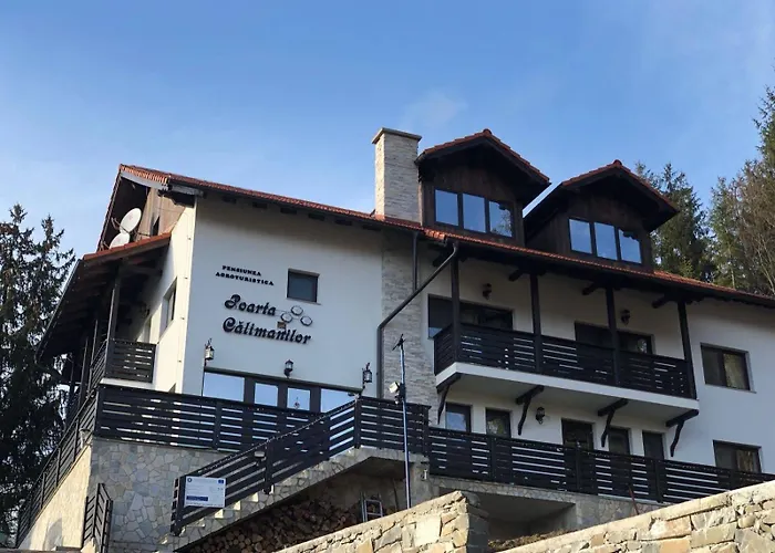 Poarta Călimanilor