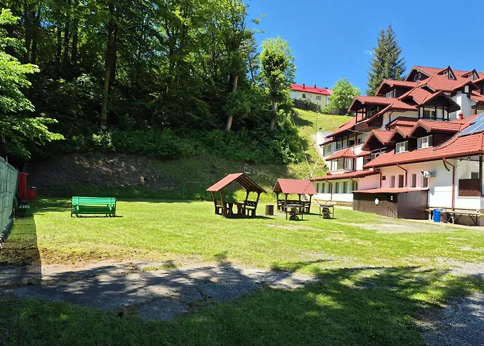 Cristal Sinaia