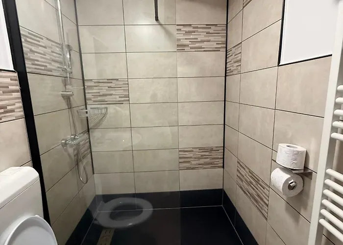 Reny'S Studio Apartments -Hiperbara Livezeni , România