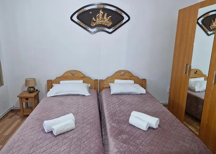 Pensiunea Cabana Viselor