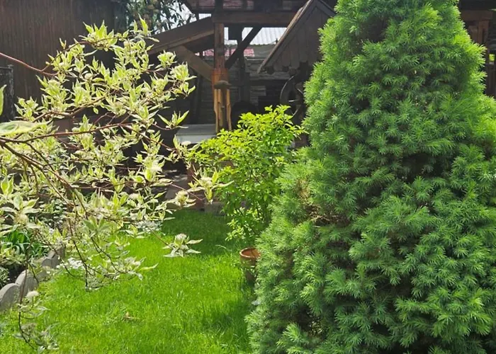 La Buna Văliug