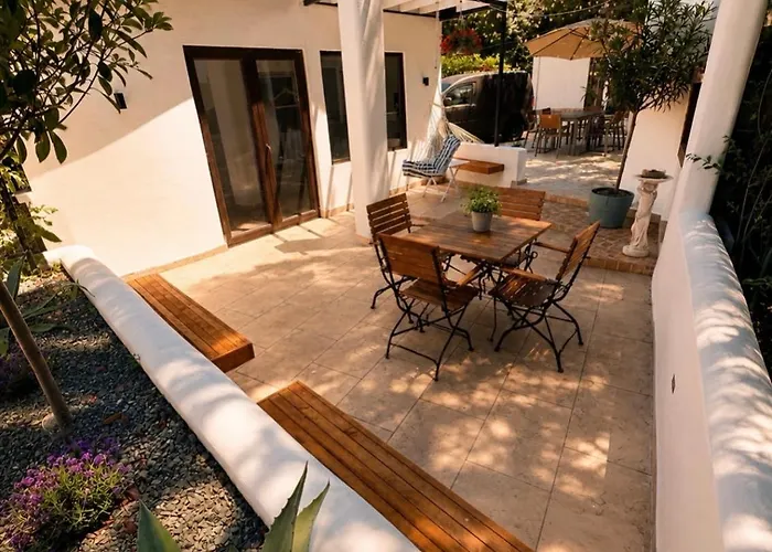 Vila Casa Leul