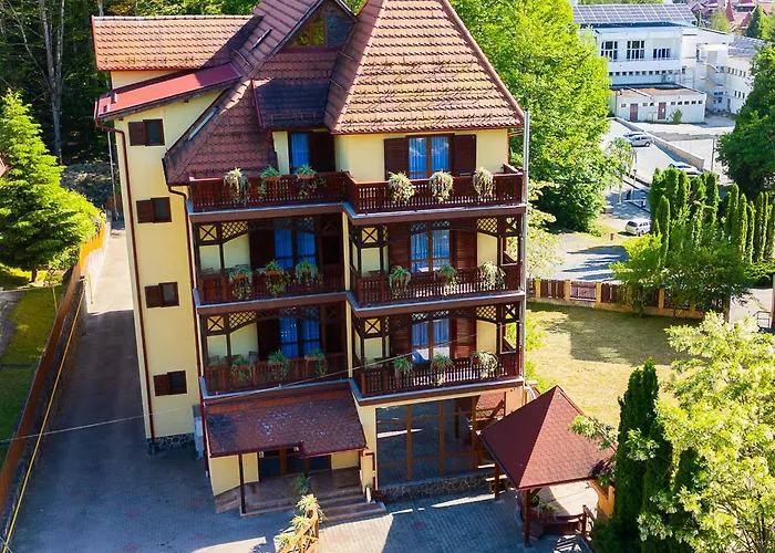 VILA URSU din SOVATA BAI&SPA -SAUNA , JACUZZI INTERIOR
