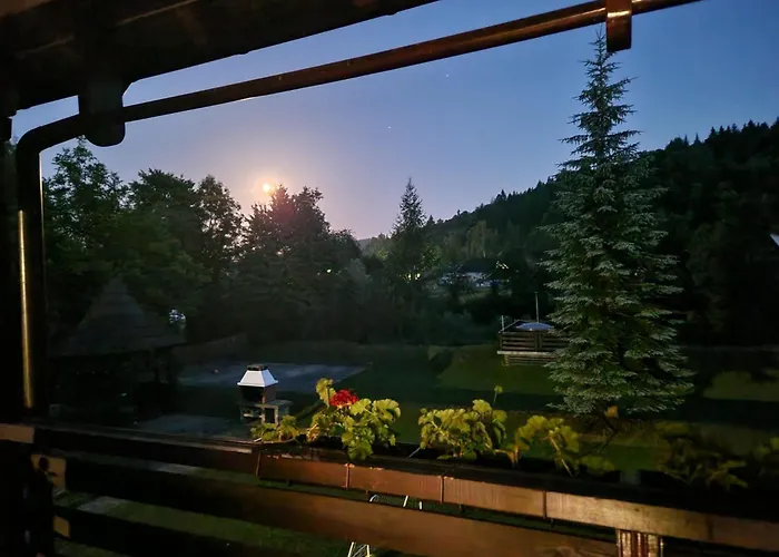 Pensiunea Irina