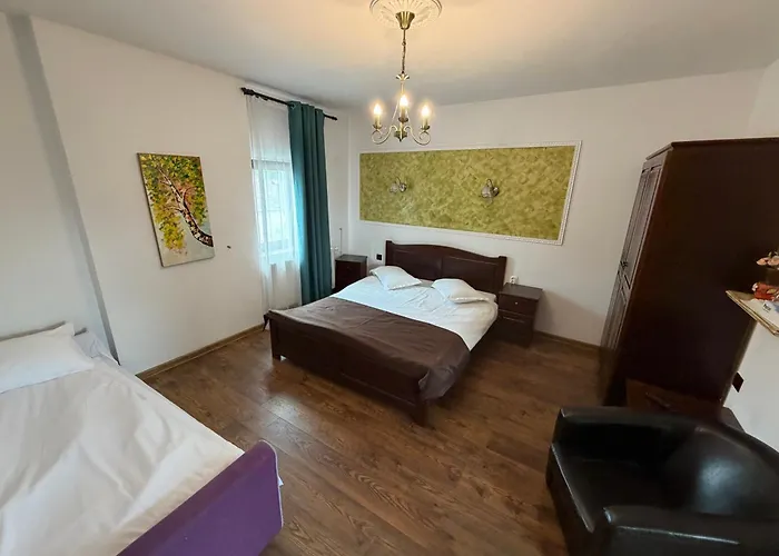 Pensiunea Casa Rica