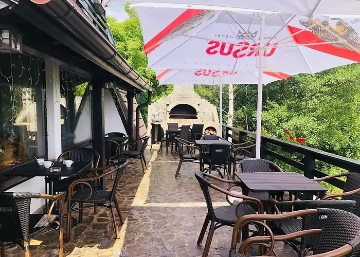 Pensiunea Ursuleț Bran