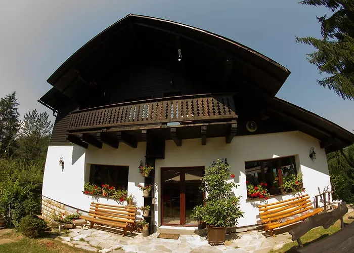 Pension Cabana Ionela
