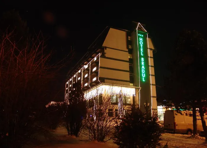 Hotel Bradul