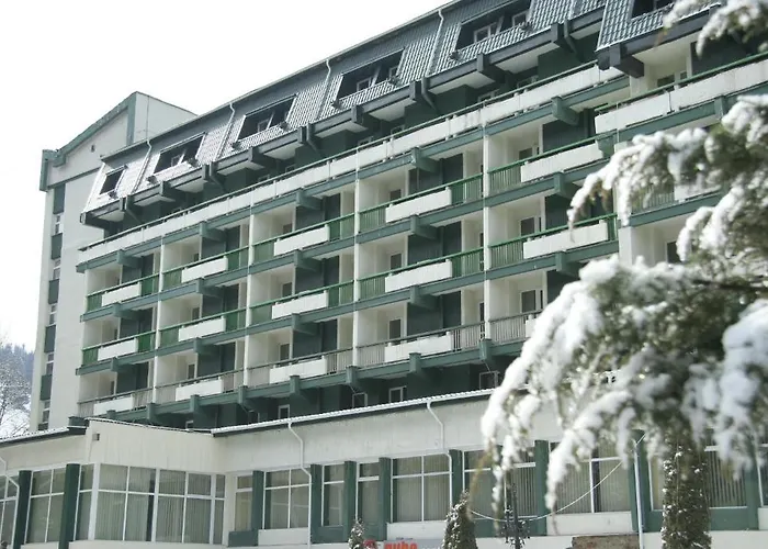 Hotel Bradul