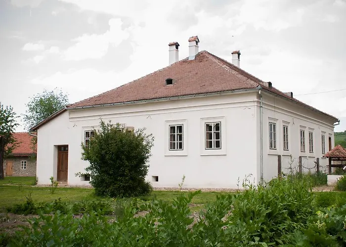 Transylvania Guesthouses Cincsor, România