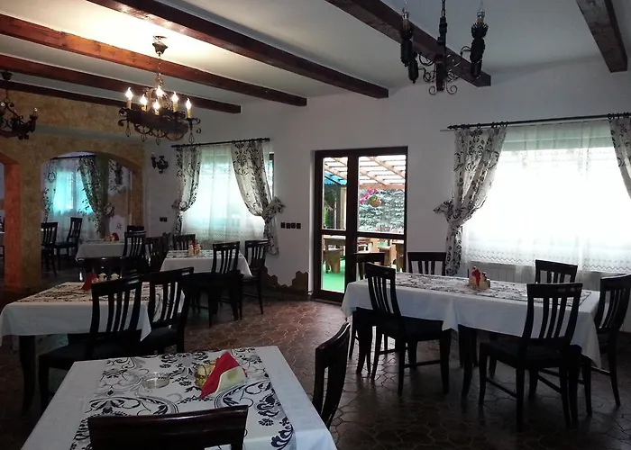 Vila Lulu Hotel Vatra Moldoviţei, România