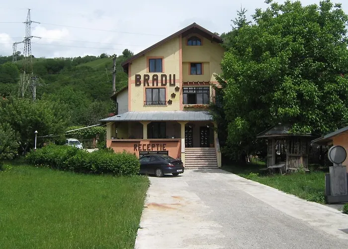 Pensiunea BRADU