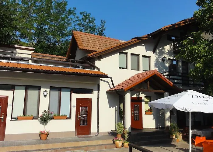 Vila Europa Sărata-Monteoru, România