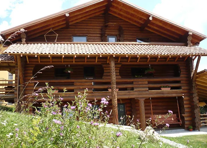 Cabana Vultur