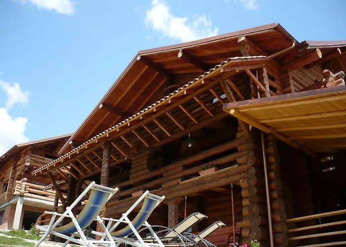Cabana Vultur