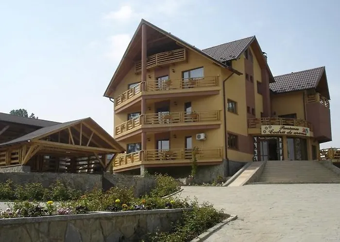 Pensiunea Codrii de arama Văratec, România