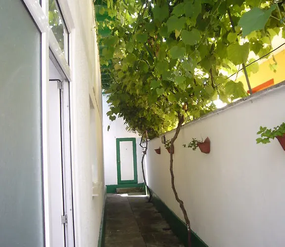 De Inchiriat Pinciuc Gheorghe