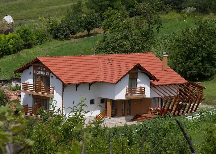 Pensiunea Casa din Vii Seusa, România