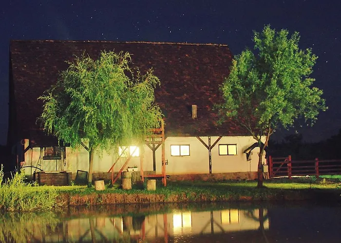 Pensiunea Violeta Saschiz, România