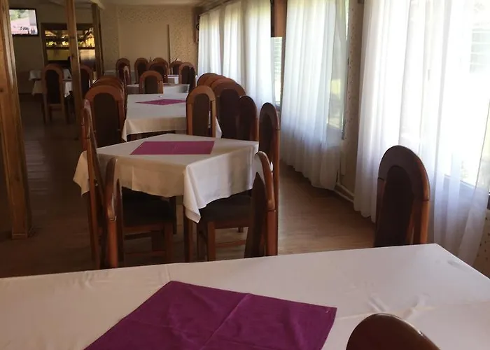 Pensiune Restaurant Casa Sofia