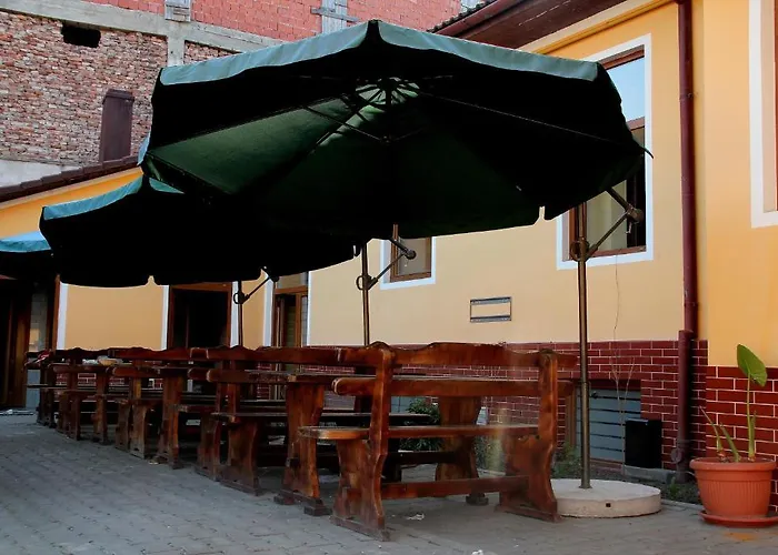 Pensiunea Timisoara