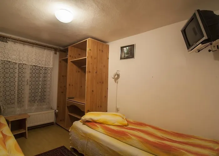 Pensiunea Schneider Covasna, România