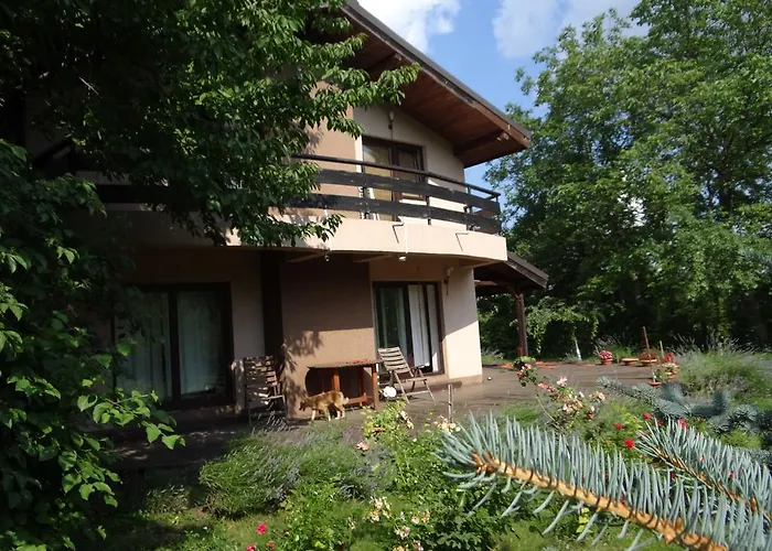Pensiunea Bamboo - Villa