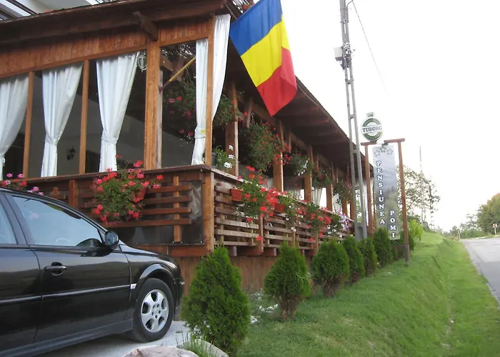 Pensiunea Pomi -Oesti