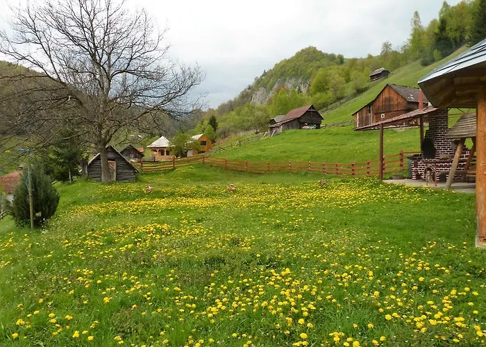 Pensiunea La Ionica