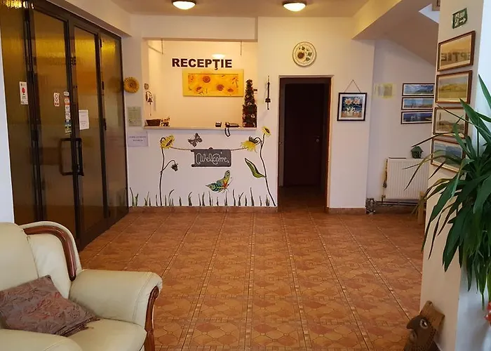 Floarea Soarelui