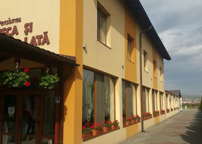 Pensiunea Pusca si Cureaua Lata