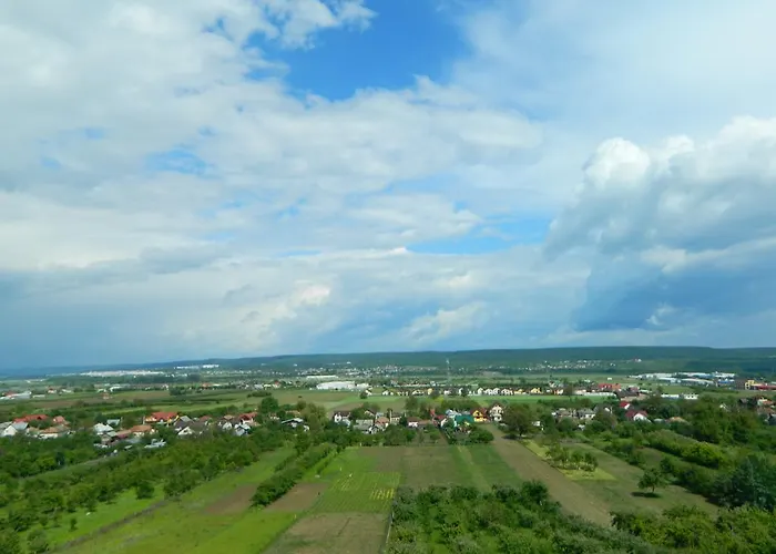 Pensiunea Andrei Maracineni, România