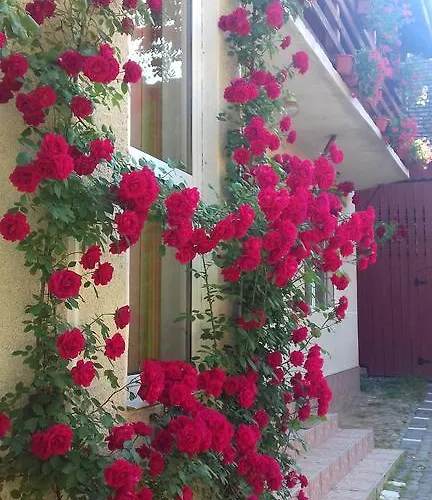 Pensiunea Răzvan