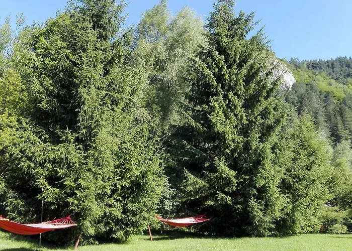 Pensiunea Alpin