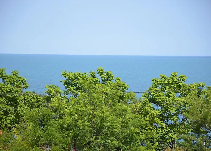 Razvan Holiday