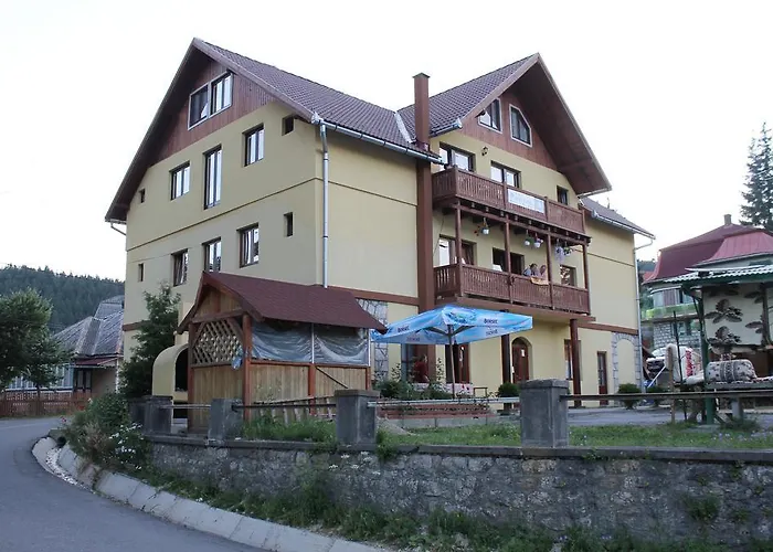 Pensiunea Floare de Colt Borsec, România