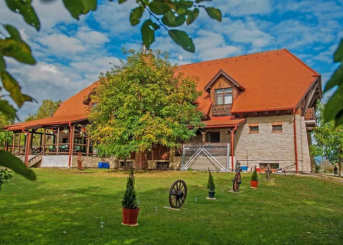 Hovirag Panzio Hotel Borzont, România