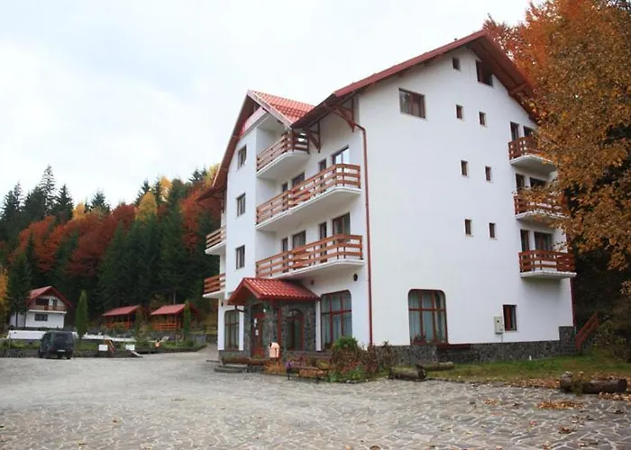 Hotel Paltinis