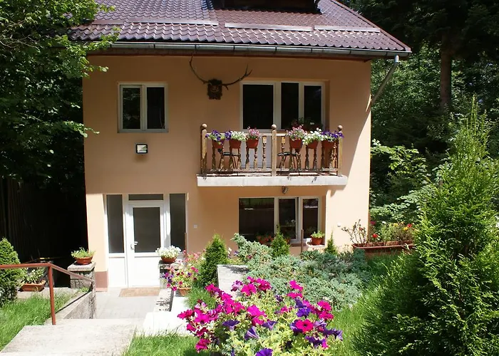 Vila Aleea Hotel Sinaia, România